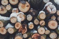 Stacked wood. Pile of small logs covered with snow. Tree trunks in forest during winter Royalty Free Stock Photo
