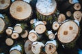 Stacked wood. Pile of small logs covered with snow. Tree trunks in forest during winter Royalty Free Stock Photo