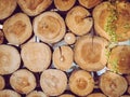 Stacked wood pine timber background Royalty Free Stock Photo