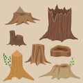 Stacked wood pine timber for construction building cut stump lumber tree bark materials vector set Royalty Free Stock Photo