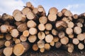 Stacked wood pine timber for construction buildings Royalty Free Stock Photo