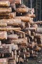 Stacked wood pine timber for construction buildings Royalty Free Stock Photo