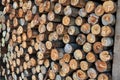 Stacked wood pine timber for construction Royalty Free Stock Photo