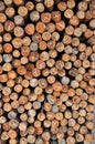 Stacked wood pine timber for construction Royalty Free Stock Photo