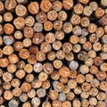 Stacked wood pine timber for construction buildings Background Royalty Free Stock Photo