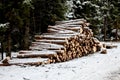 Stacked wood in winter Royalty Free Stock Photo