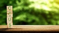 Stacked wooden blocks with the acronym CCUS (Carbon Capture Utilization and Storage) against a blurred green background. Royalty Free Stock Photo