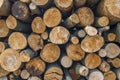 Stacked wooden Logs Royalty Free Stock Photo