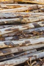 Stacked wooden poles Royalty Free Stock Photo