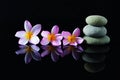 Stacked of Zen stones and frangipani flowers Royalty Free Stock Photo