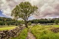 Stackhouse Path, near Settle in the Yorkshire Dales Royalty Free Stock Photo