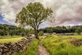 Stackhouse Path, near Settle in the Yorkshire Dales