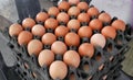 Stacking Black Plastic Egg Trays Royalty Free Stock Photo