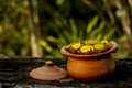 Stacking Gold Coin in jar on wooden with blurred background, Money stack for business planning investment and saving future concep Royalty Free Stock Photo