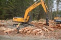 Stacking logs