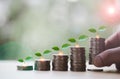 Stacking of money coins with plants growing on top and hand put a one of stack of coins, concept idea investment Royalty Free Stock Photo