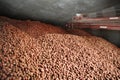 Stacking potatoes in a potato cellar.