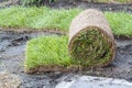 stacking of roll green lawn grass. Laying lawn grass in rolls at place of growth