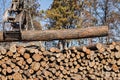 Stacking tree logs at a sawmill Royalty Free Stock Photo