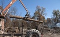Stacking tree logs at a sawmill