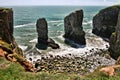 Stackpole rocks, south Wales, United Kingdom Royalty Free Stock Photo