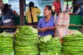 Stacks of betel leaves for sale at a market in Myanmar. Royalty Free Stock Photo