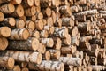 Stacks of birch logs close up