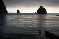 Stacks Bluffs Pacific Ocean West Coast Royalty Free Stock Photo