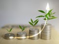 Stacks of coins, money, with plants sprout on top. Investment saving progress. Wealth growing step by step. Finane and accounting Royalty Free Stock Photo