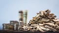 Stacks of coins and pile of sunflower seeds on  the white table Royalty Free Stock Photo