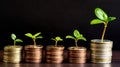 Stacks of coins with tree sprouts on top isolated on black, save money for future, growth investing, profit and environmental