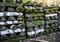 Stacks of cut birch logs with rough bark, arranged horizontally in a Royalty Free Stock Photo