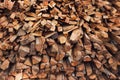 Stacks of dry textured firewood closeup.