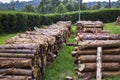 Stacks of firewood Royalty Free Stock Photo