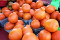 Stacks of Fresh Ripe Tangelo Oranges at the Farmers Market Royalty Free Stock Photo