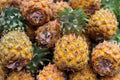 Stacks of fresh whole pineapple fruits at Israel farmers market Royalty Free Stock Photo