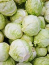 Cabbage on sale in an Asian wet market Royalty Free Stock Photo