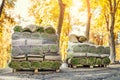 Stacks of green fresh rolled lawn grass on wooden pallet at dirt prepared for installation at city park or backyard in autumn.