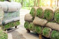 Stacks of green fresh rolled lawn grass on wooden pallet at dirt prepared for installation at city park or backyard on