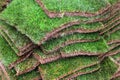 Stacks of green sod patches, used for grass lawn making Royalty Free Stock Photo