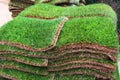 Stacks of green sod patches, used for grass lawn making Royalty Free Stock Photo