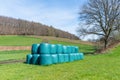 Stacks of hay bale wrapped in plastic lie on the green grass