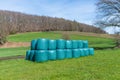 Stacks of hay bale wrapped in plastic lie on the green grass