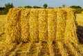 Stacks of hay in summer in yellow field with copyspace. Close up front view Royalty Free Stock Photo