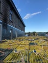 Stacks of lobster traps on a dock in a fishing village on Mt Desert Island near Bar Harbor, Maine, USA Royalty Free Stock Photo