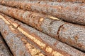Stacks of logs close up Royalty Free Stock Photo