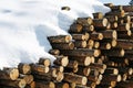 Stacks of logs cut by loggers Royalty Free Stock Photo