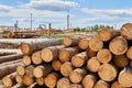 Stacks of logs in the lumber yard Royalty Free Stock Photo