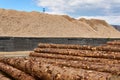 Stacks of logs and pile of wood sawdust in the lumber yard Royalty Free Stock Photo