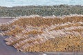 Stacks of logs piled up for export